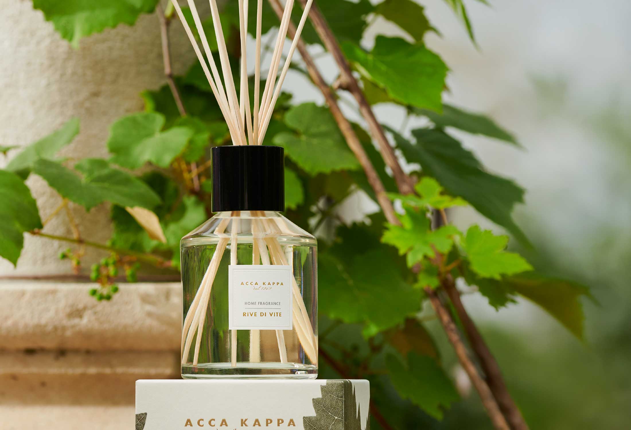 Acca Kappa Rive di Vite Diffuser, 500ml