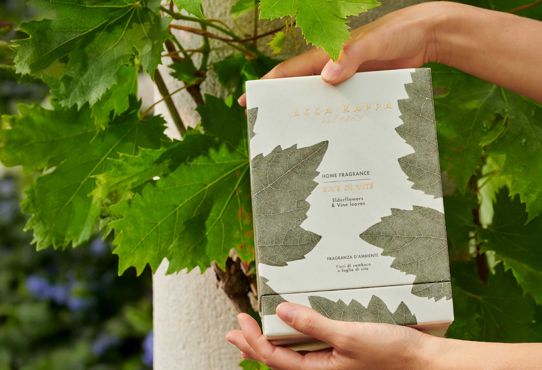 Acca Kappa Rive di Vite Diffuser, 500ml