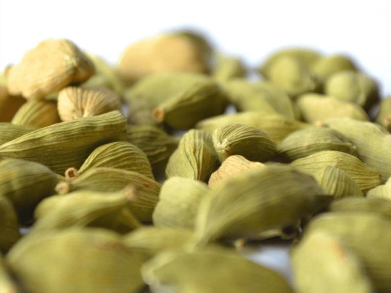 Close-up of green cardamom pods