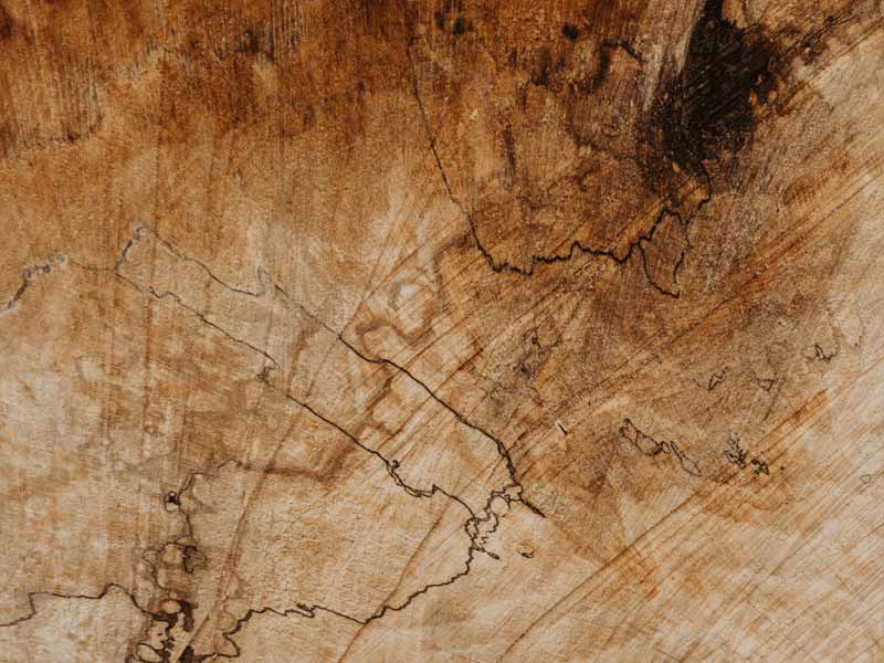 Close-up of a wooden surface with natural patterns and cracks